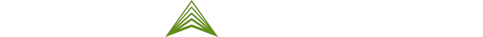 Fidelity Digital Asset