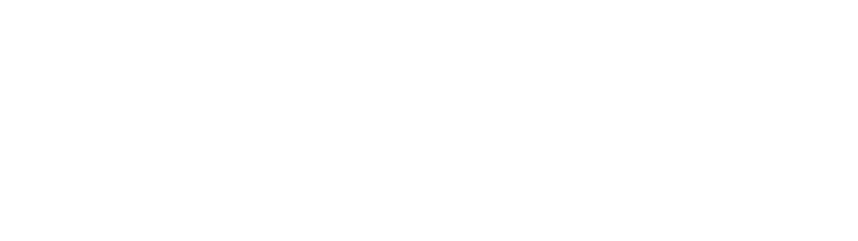 MV Global